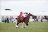UKPA NC SAT_2757